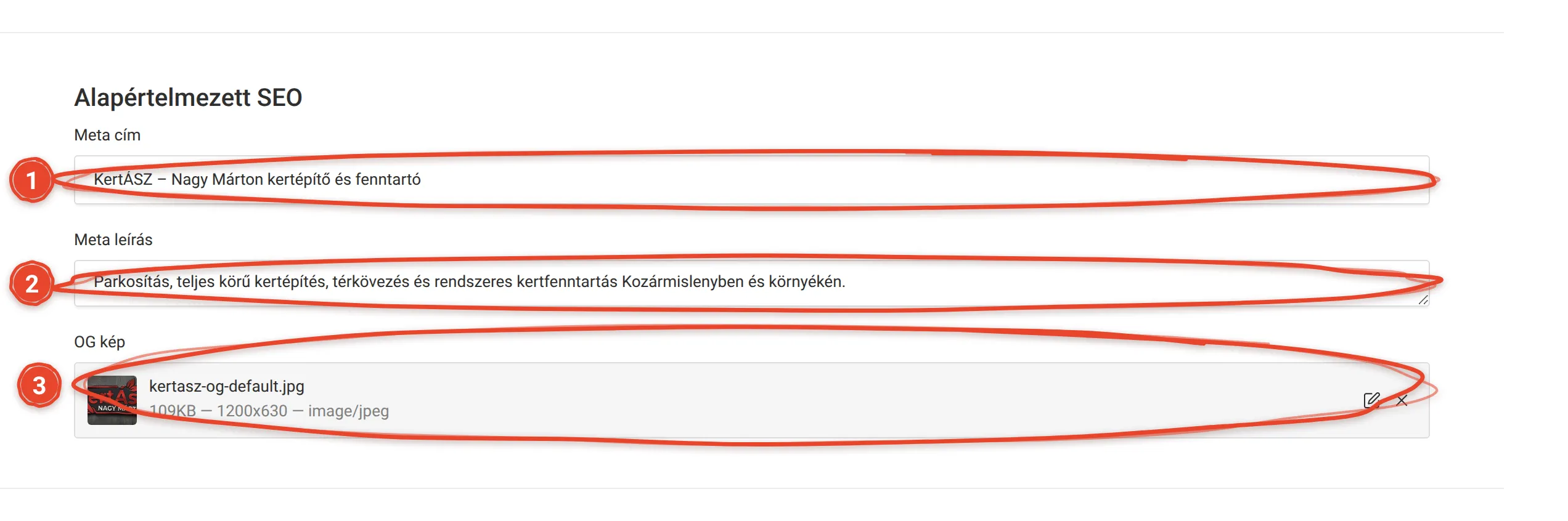 Hogyan állítom be az alapértelmezett SEO-t és a megosztási képet? – képernyőkép