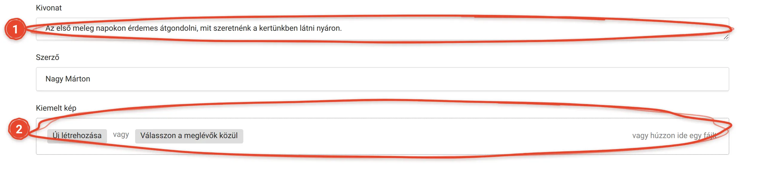 Hogyan állítom be a kiemelt képet és a kivonatot? – képernyőkép